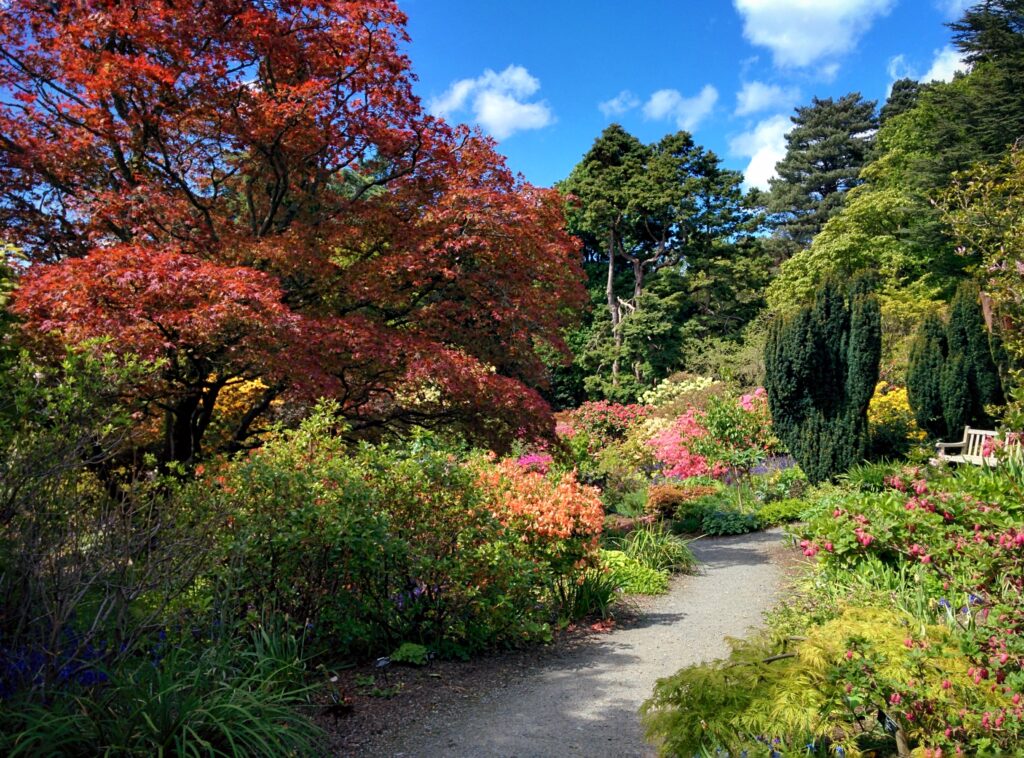 Bodnant Garden summer holiday 2021